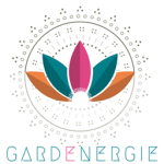 18199357_1010718212404097_6917681742155935587_n